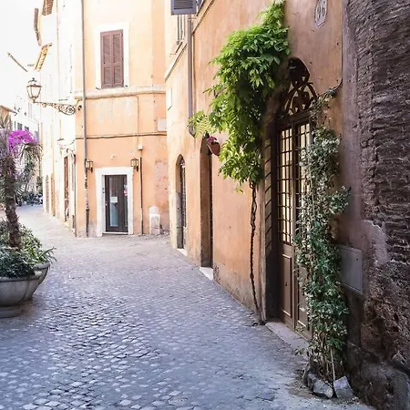 Cozy Campo De Fiori -topcollection *
